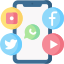Social Media Marketing (SMM)